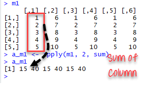 apply() function example in R